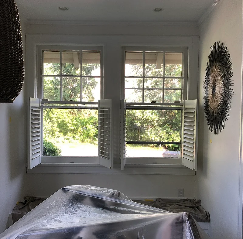 Windows with interior shutters